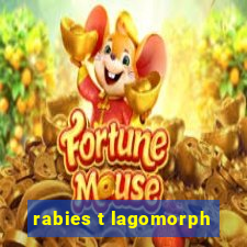 rabies t lagomorph